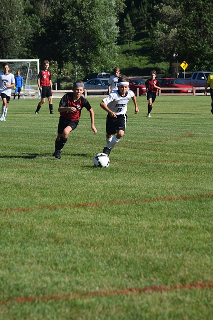 持续关注的 持续关注的