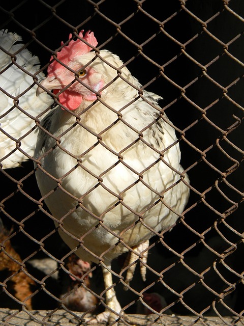 也感受到了 也感受到了