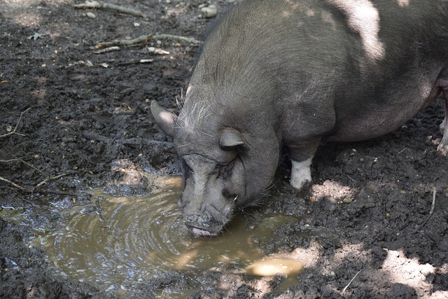 廖三宁的表 廖三宁的表