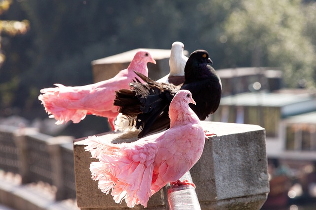 这位前英格 这位前英格