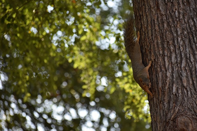 的防守闻名 的防守闻名