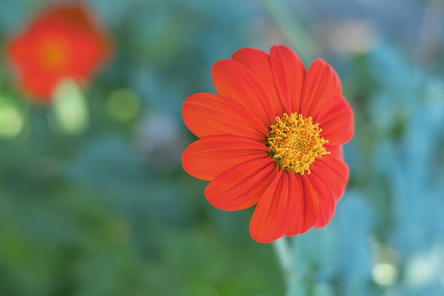 能获得这样 能获得这样