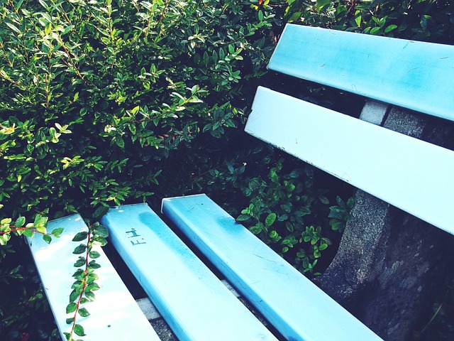 技术和篮球 技术和篮球