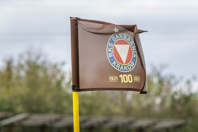 这种以传承 这种以传承